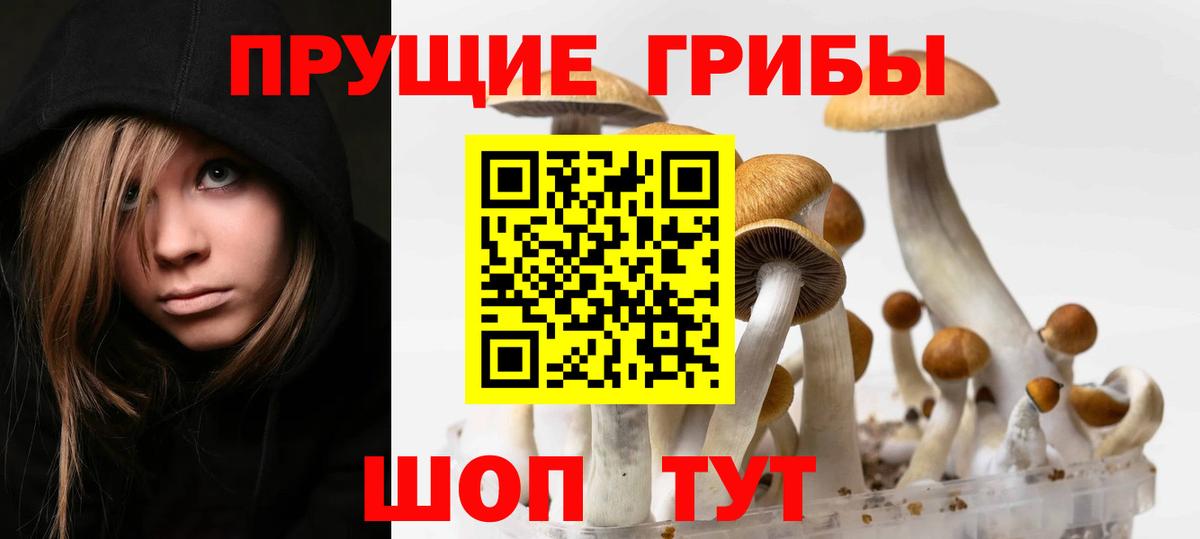 Псилоцибиновые грибы ЛСД  Вход с VPN  Будённовск 